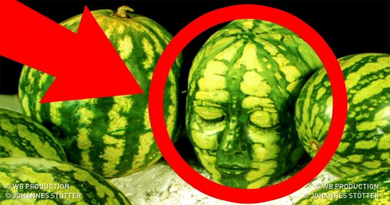 13 οπτικές ψευδαισθήσεις που θα σας περιπλέξουν το μυαλό