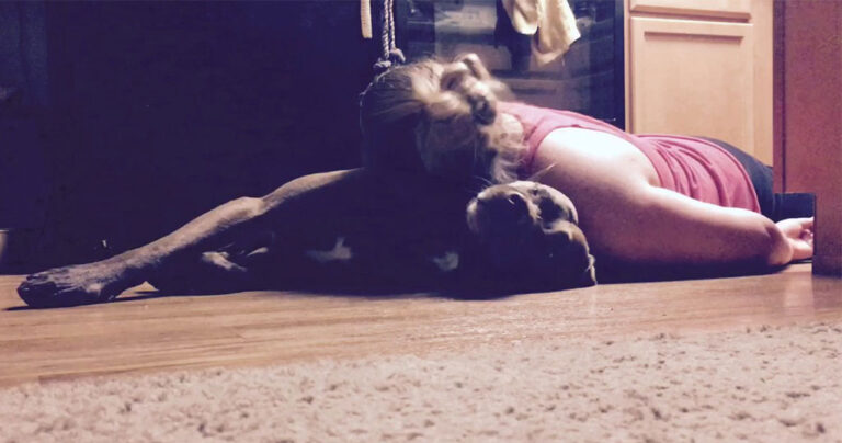 Εκπαιδευμένος σκύλος προστατεύει το κεφάλι ενός επιληπτικού ατόμου