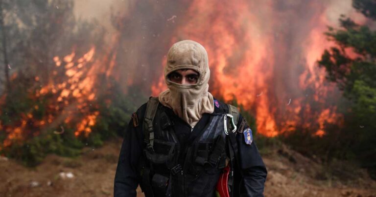 «Οι μισοί Ελληνες κερδίζουν από τα δάση που χάνονται»