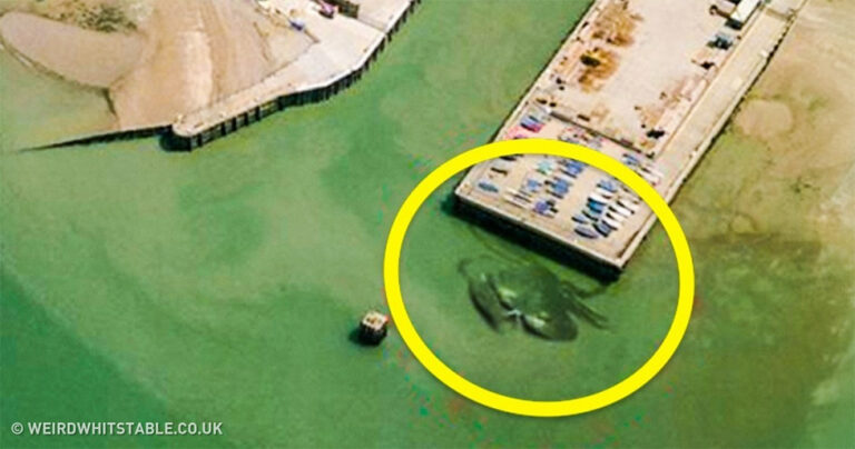 13 από τα πιο αμφιλεγόμενα πράγματα που βρέθηκαν στο Google Maps