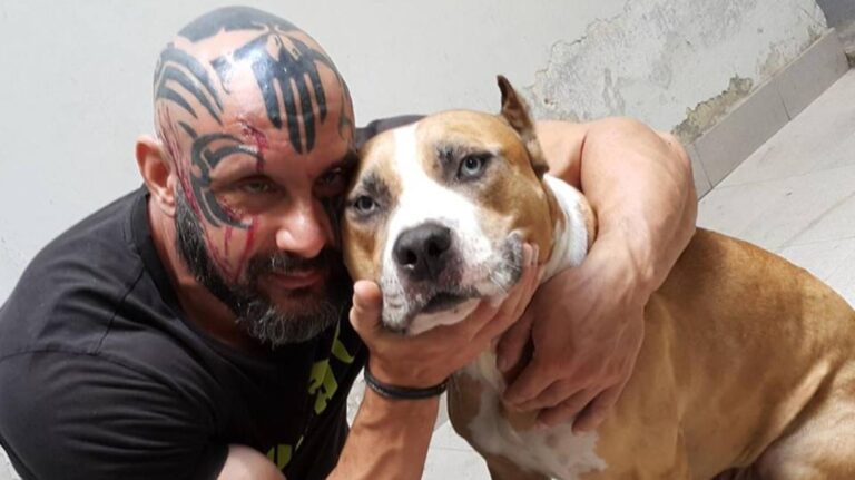 Ο Παναγιώτης κάνει τα πάντα στα άκρα – Αυτήν την εποχή σώζει κακοποιημένους σκύλους