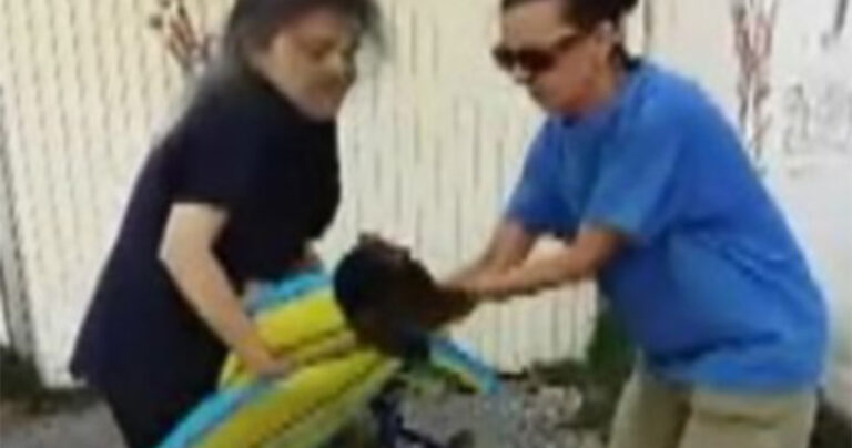 Τρίπολη: Έριξαν φόλα σε σκύλο και η συνέχεια σόκαρε τους πάντες – Δύο γυναίκες δεν έμειναν απαθείς