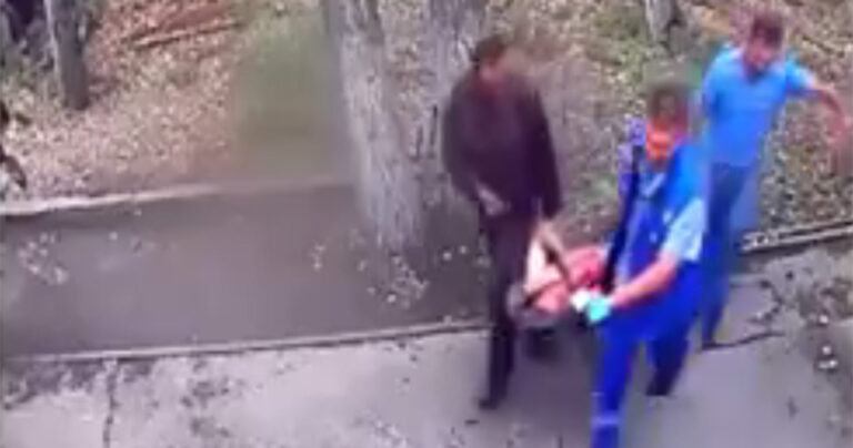 Το πλήρωσε ακριβά: Μεθυσμένος επιχείρησε να δώσει γάλα σε αρκούδα