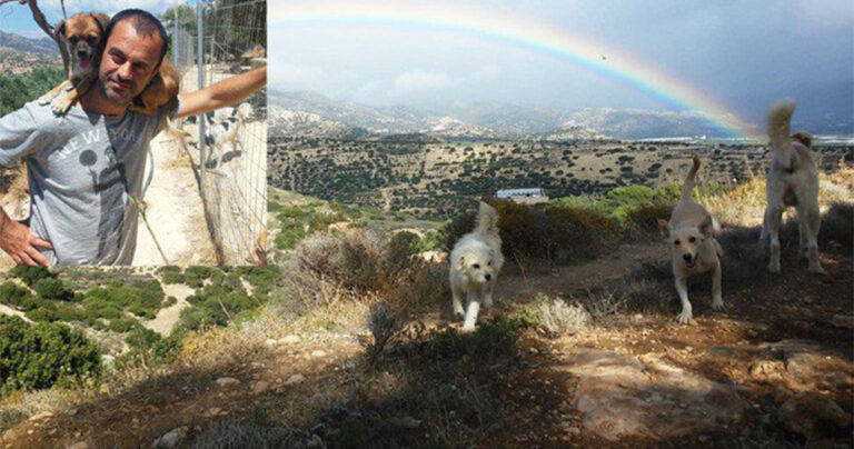 Ο άντρας που ζει στην Κρήτη συντροφιά με διακόσια πενήντα σκυλιά