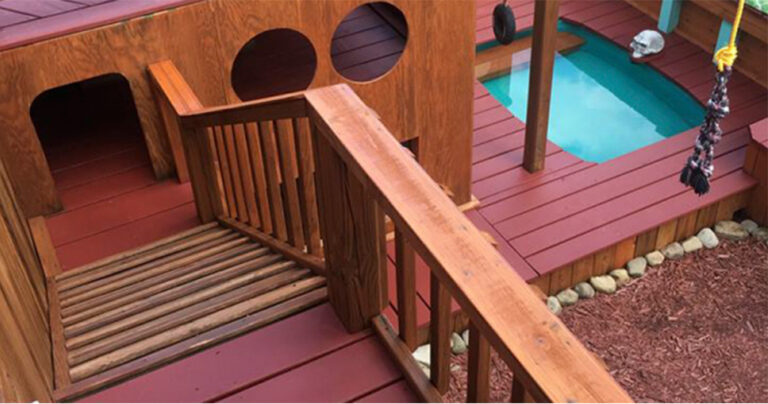 Ιδιοκτήτης σκύλων έφτιαξε παιδική χαρά με ιδιωτική πισίνα για τα 4 σκυλιά του