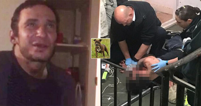 Σκύλος έφαγε κοκαΐνη και καταβρόχθισε μέχρι θανάτου τον 41χρονο ιδιοκτήτη του
