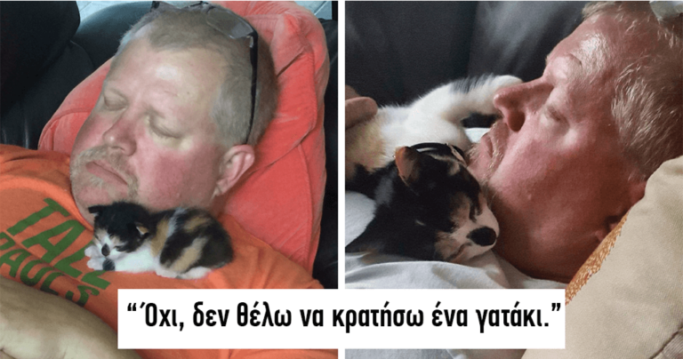 40 άνθρωποι που είπαν ότι δεν ήθελαν την γάτα αλλά στο τέλος την αγάπησαν