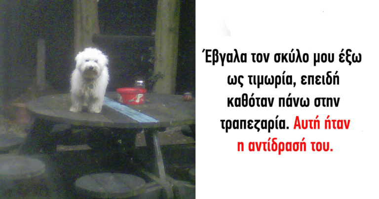 40 τρομερά ζώα που δεν νοιάζονται για χαζούς κανόνες