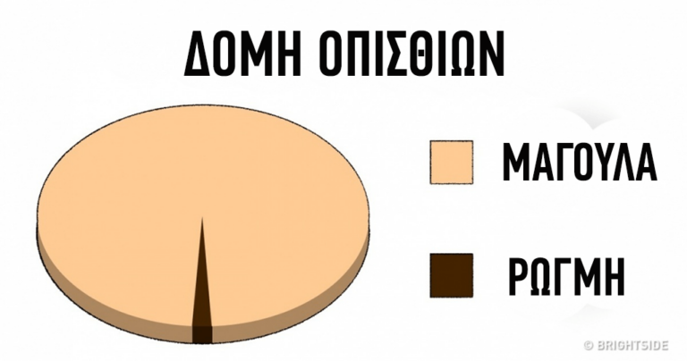 16 πετυχημένα διαγράμματα για την καθημερινότητα της ζωής μας