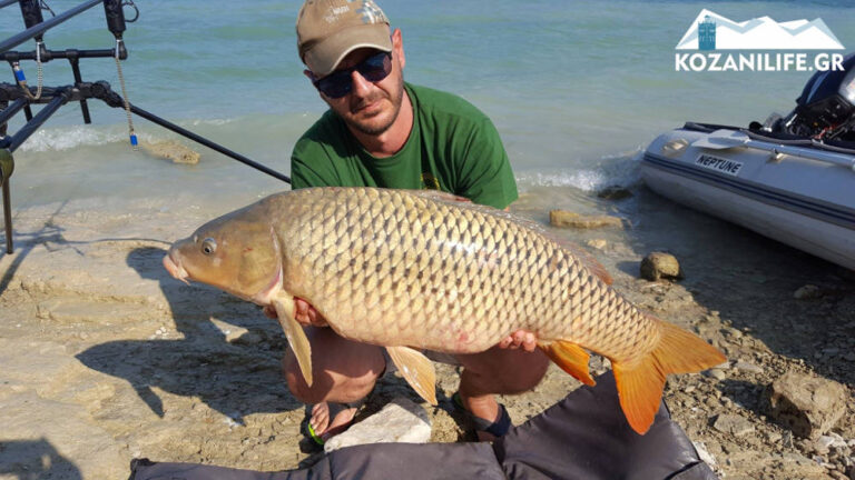 Κοζάνη: Ψαράς έπιασε τεράστιο κυπρίνο 12 κιλών και τον απελευθέρωσε πάλι στο νερό