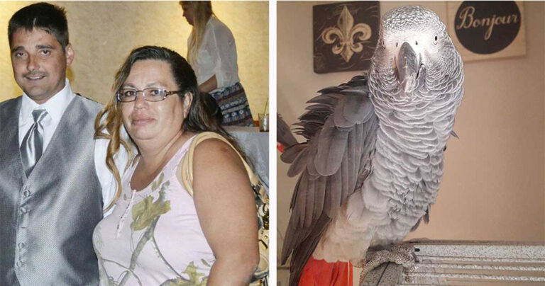 Γυναίκα μπήκε ισόβια όταν ο παπαγάλος της αποκάλυψε την δολοφονία του άντρα της