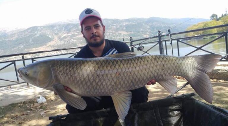 Ψάρεψαν «grass carp» 10 κιλών αλλά το έριξαν πίσω στην Παμβώτιδα