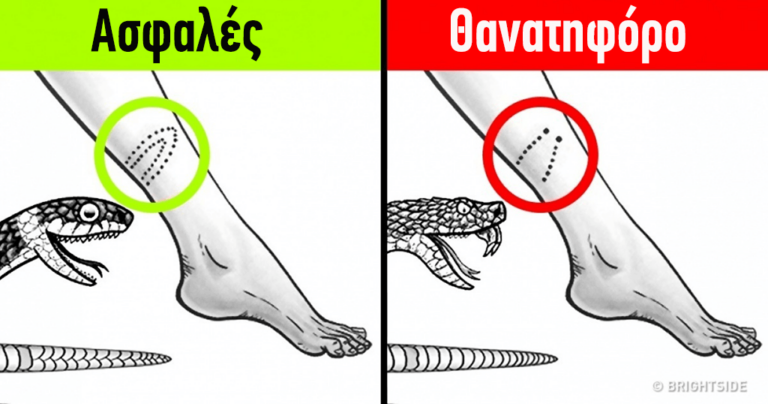 12 πράγματα που θα σας σώσουν την ζωή σε μια κρίσιμη κατάσταση