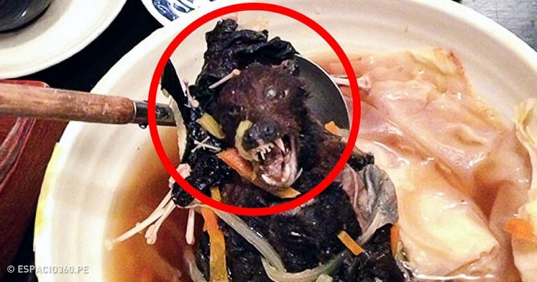 12 θανατηφόρα φαγητά που οι άνθρωποι λατρεύουν να τρώνε στον κόσμο