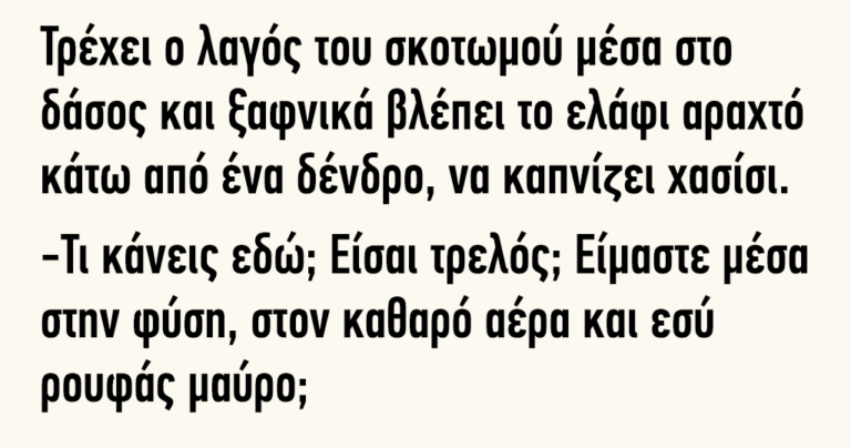 Τρέχει ο λαγός του σκοτωμού μέσα στο δάσος