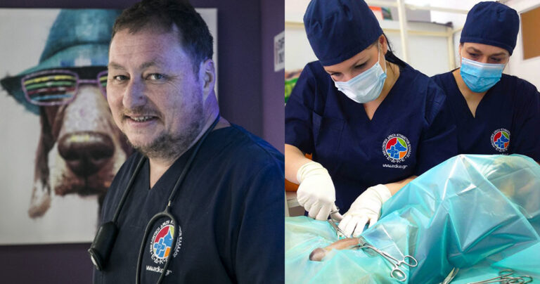 Ο Έλληνας γιατρός και η ομάδα του που χαρίζουν καθημερινά τη ζωή τους στα αδέσποτα