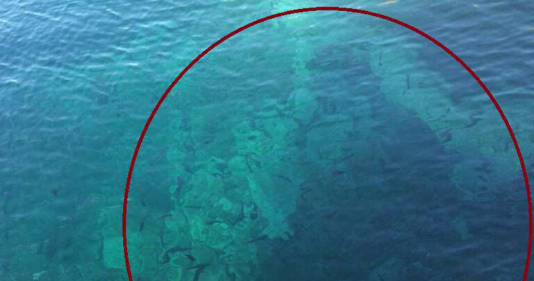 Οι άνθρωποι της ελληνικής εκκλησίας ισχυρίζονται ότι εμφανίστηκε μοναχός μέσα στην θάλασσα