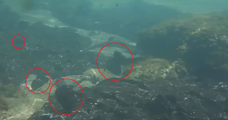 Βίντεο κάτω από το νερό δείχνει κομμάτια μαζούτ στο βυθό της Σαλαμίνας