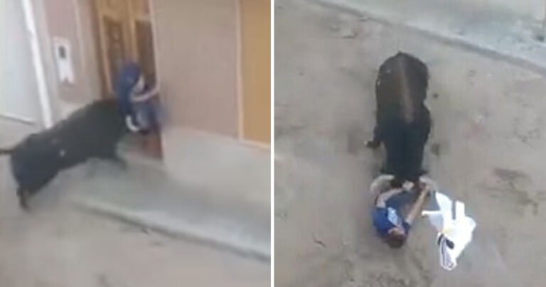 Ταύρος σκοτώνει 46χρονο άντρα σε φεστιβάλ ταυροδρομίας στην Ισπανία