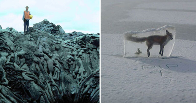 40 φορές που η φύση έγινε πιο τρομακτική και από ταινία τρόμου
