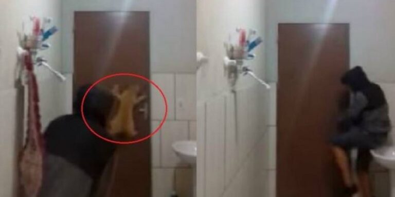 Ξεκαρδιστικό: Άνδρας προσπαθεί να σκοτώσει ποντίκι μαζί με τη φοβιτσιάρα γάτα του