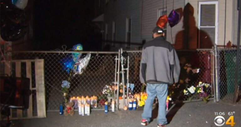 Πίτμπουλ κατασπάραξαν εφτάχρονο στις ΗΠΑ μπροστά σε 15 μάρτυρες που κοίταζαν άπραγοι