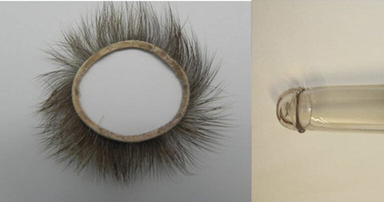 15 ιστορικά γεγονότα για το σεξ που κανένας καθηγητής δεν μας είπε στο σχολείο