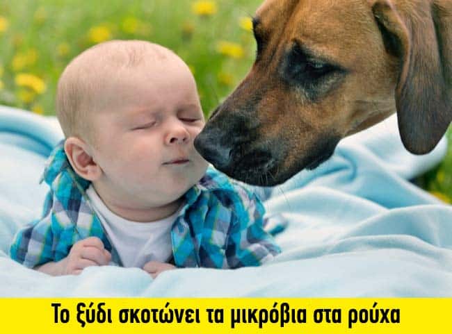 14 εξαιρετικές και διαφορετικές χρήσεις του ξυδιού που δεν γνωρίζατε 12 45c48cce2e2d7fbdea1afc51c7c6ad26 4