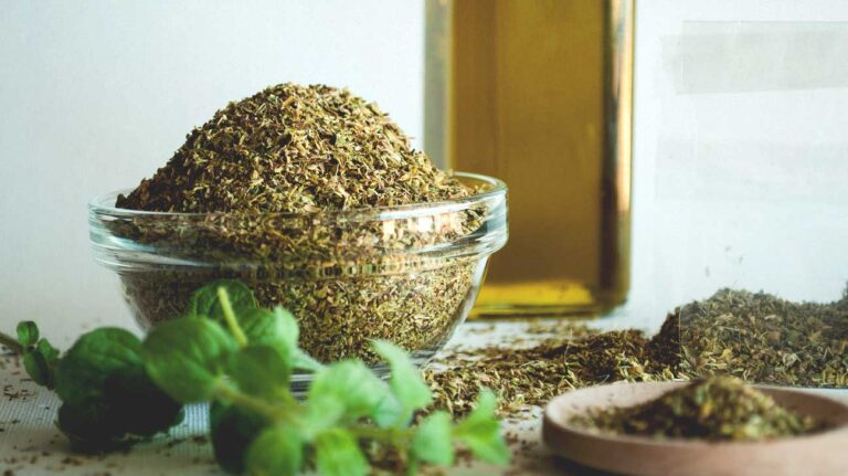 Ρίγανη: Το ταπεινό φυτό που θεραπεύει σχεδόν τα πάντα και δεν κοστίζει τίποτα