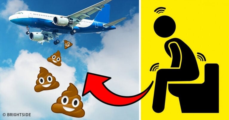 19 πολύ ενδιαφέρουσες πληροφορίες που δεν έχετε ψάξει ποτέ στο Google