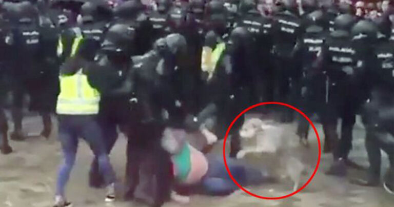 Καταλονία: Σκύλος αρνείται να εγκαταλείψει τον ιδιοκτήτη του την ώρα που τον χτυπούν οι αστυνομικοί