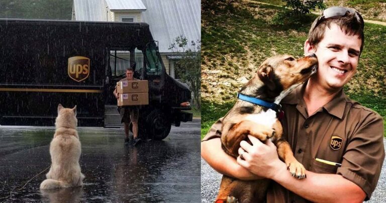 Οδηγοί κούριερ έχουν ομάδα στο facebook με εικόνες από τους σκύλους που συναντούν