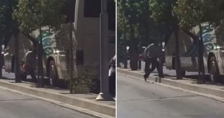 Οδηγός ΚΤΕΛ σταματάει κλαδεύει τα δέντρα που τον εμπόδιζαν και συνεχίζει ακάθεκτος