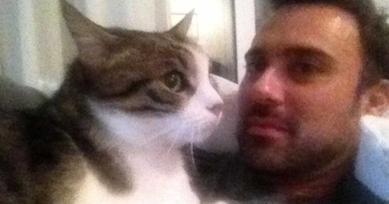 Τα συγκινητικά λόγια του Γιώργου Καπουτζίδη για τη γάτα του που πέθανε