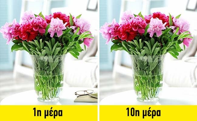 14 εξαιρετικές και διαφορετικές χρήσεις του ξυδιού που δεν γνωρίζατε 5 c81e728d9d4c2f636f067f89cc14862c 4