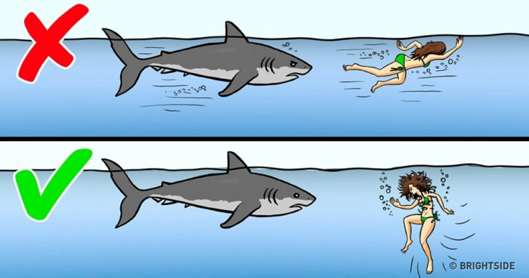 12 τεχνικές που θα σας σώσουν την ζωή από μια επίθεση ζώου