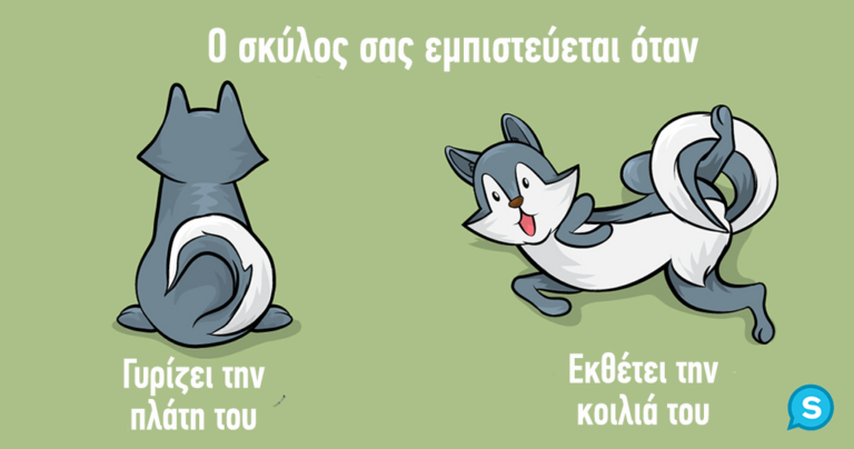 15 πράγματα που κάνουν τα σκυλιά και τι θέλουν να μας πουν με αυτά που κάνουν