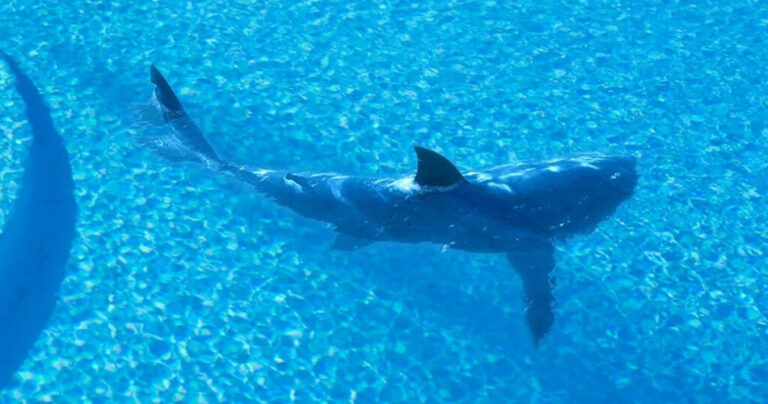 20 πληροφορίες για τα ξενοδοχεία που θα αλλάξουν την γνώμη σας για αυτά για πάντα