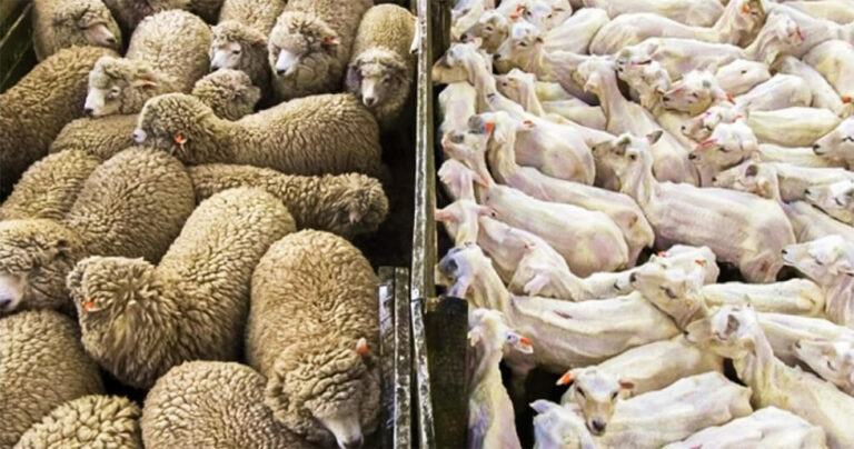 27 φωτογραφίες που θα σας κάνουν να πείτε “τώρα τα είδα όλα”