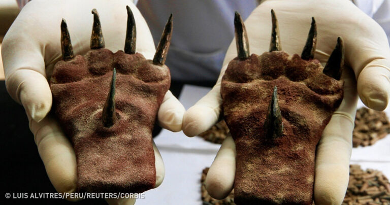 13 αρχαιολογικές ανακαλύψεις που προβληματίζουν τους επιστήμονες σήμερα