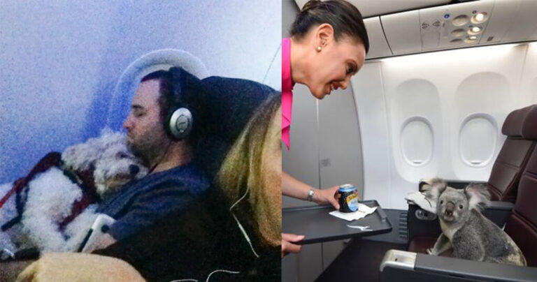 40 πτήσεις που είχαν τους καλύτερους επιβάτες