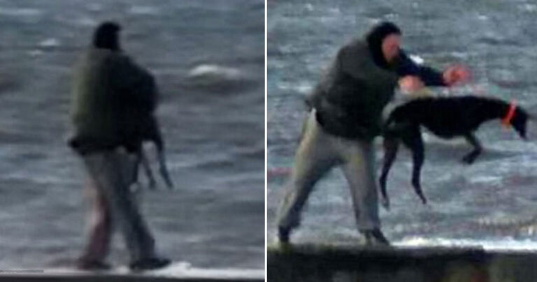Άνδρας πετάει στα παγωμένα νερά της θάλασσας τον σκύλο του