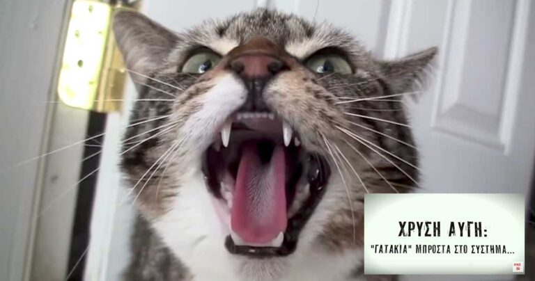 Η ΚΝΕ κοροϊδεύει τη Χρυσή Αυγή με νέο βίντεο της