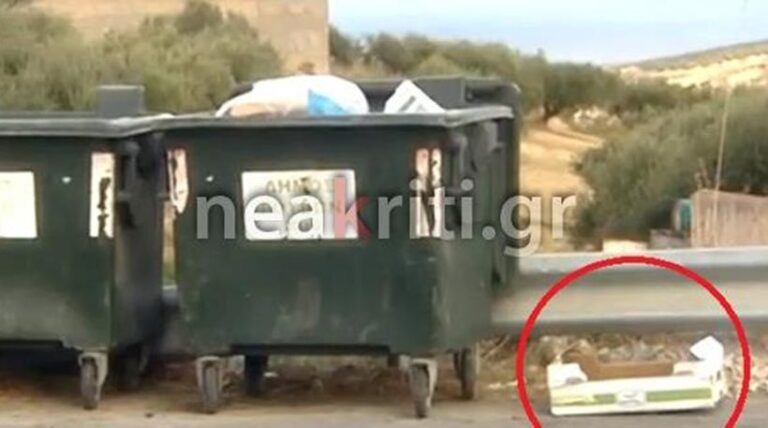 Κρήτη: Πολτοποίησαν κουτάβια και τα πέταξαν σε κάδους