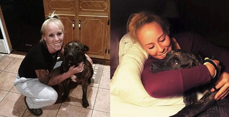 Δυο πίτμπουλ σκότωσαν την αφεντικίνα τους και μετά φύλαγαν τη σορό της