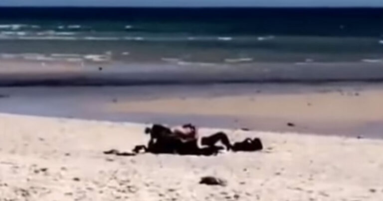 Αυστραλία: Ασυγκράτητο ζευγάρι έκανε σεξ στην παραλία μέρα μεσημέρι