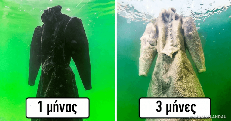 Καλλιτέχνιδα βουτάει ρούχα στη Νεκρά Θάλασσα και τα μετατρέπει σε αριστουργήματα