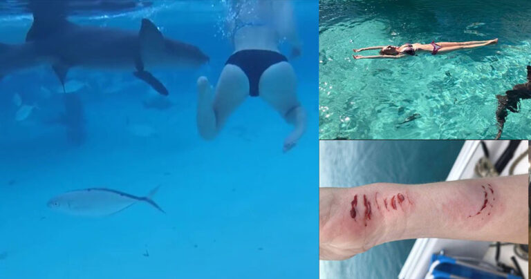 Γαμπρός κατέγραψε τη νύφη να της επιτίθεται καρχαρίας στον μήνα του μέλιτος τους