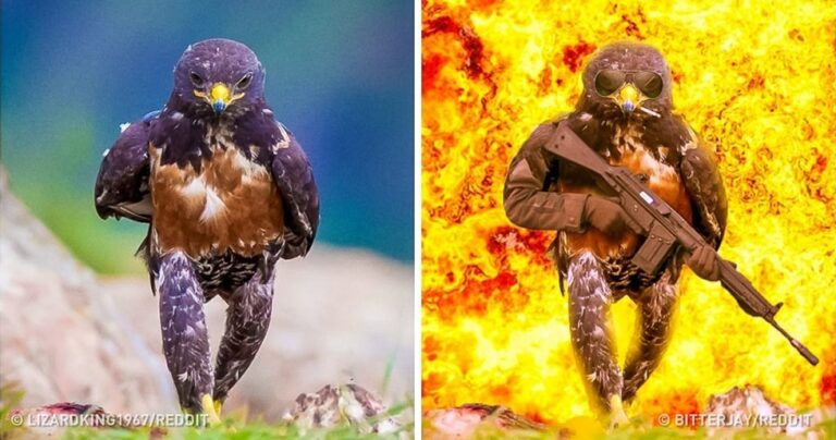 22 ξεκαρδιστικές δημιουργίες με φώτοσοπ που η φαντασία ξεπερνάει κάθε όριο