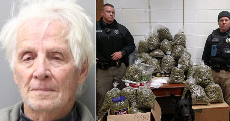 Γιαγιά και παππούς συνελήφθησαν με 30 κιλά μαριχουάνα που θα μοίραζαν για δώρα στις γιορτές